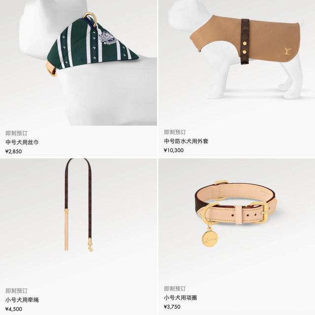 侈品品牌瞄准宠物市场从头到脚、衣食住行的