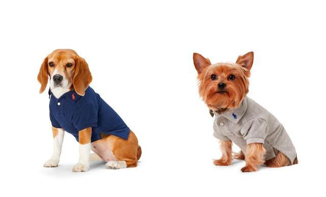 侈品品牌瞄准宠物市场从头到脚、衣食住行的宠物用品应有尽有pg电子中文模拟器2万多的爱马仕狗碗50万元的LV狗屋奢(图2)