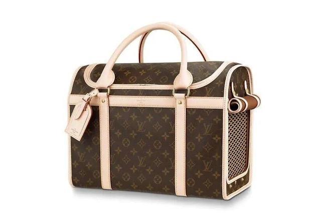 侈品品牌瞄准宠物市场从头到脚、衣食住行的宠物用品应有尽有pg电子中文模拟器2万多的爱马仕狗碗50万元的LV狗屋奢(图5)